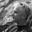 Scott Cressman - Alumni Directory profile_image