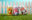 Three colourful cider cans displayed on grass in front of a white picket fence, each featuring bold illustrated fruit, animal, and floral designs.