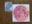 Two small mixed media artworks mounted on a wooden surface, featuring a pink full moon and two rabbits facing each other beneath overlapping circles.